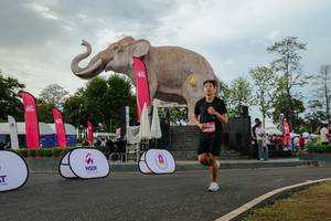 BIB: 
                            <button type="button" onclick="openModal(26528605)" class="btn btn-primary btn-sm float-right btn-popup" data-toggle="modal" data-target=".modal-high-quality">
                        <i class="fas fa-shopping-cart"></i> Add to Cart
                    </button>
                                            <button type="button" onclick="isThisMe(26528605, true)" class="btn btn-success btn-sm float-right btn-popup btn-isme hidden" data-toggle="tooltip" data-placement="bottom" title="นี่คือรูปของคุณใช่ไหม คลิกที่นี่เพื่อเอาเข้าอัลบั้ม">
                        <i class="fas fa-plus"></i> Add to album
                    </button>
                    <button type="button" onclick="isThisMe(26528605, false)" class="btn btn-warning btn-sm float-right btn-popup btn-isnotme hidden">
                        <i class="fas fa-ban"></i> Remove from album
                    </button>